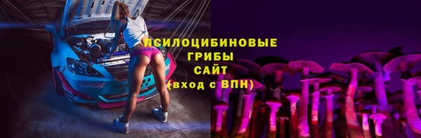 дмт Богородицк