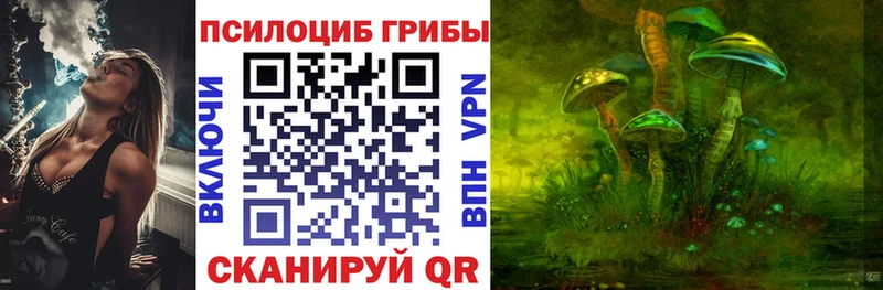 Купить закладки  Сердобск  Псилоцибиновые грибы Magic Shrooms 